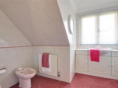 Picture 23